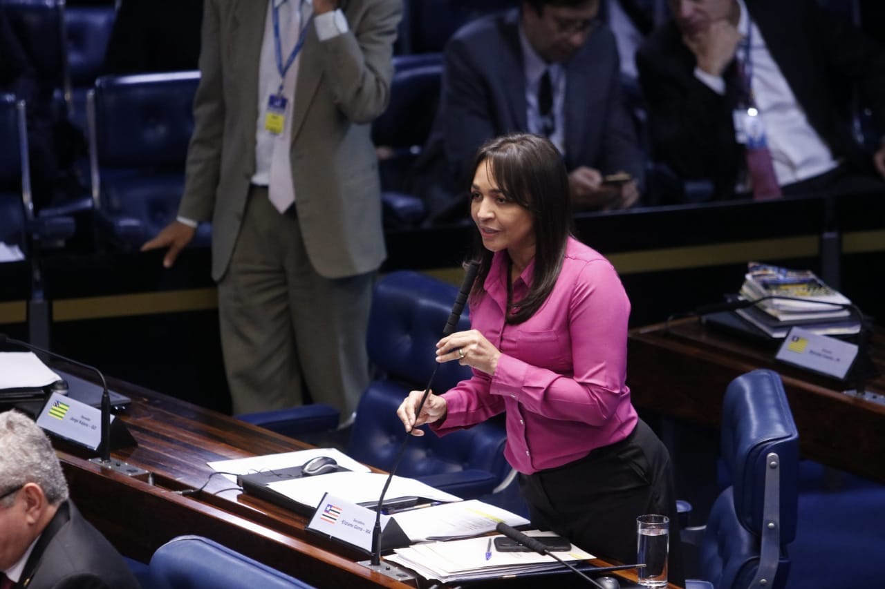 Eliziane Gama elogia acordo entre Mercosul e União Europeia e sugere sessão temática no Senado