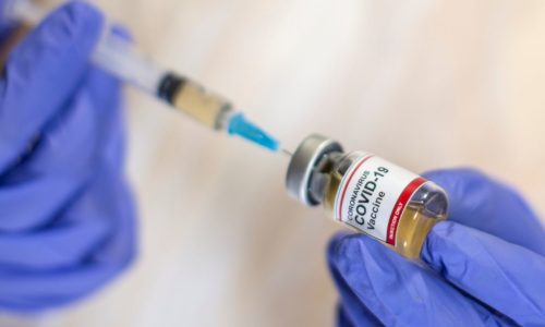 Vacinas devem ser enviadas ao Maranhão em uma semana, diz MS…