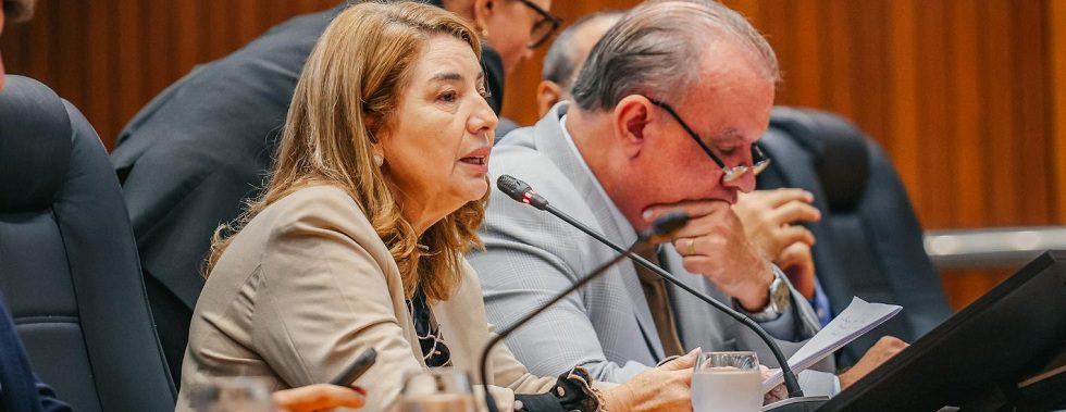 Iracema Vale enaltece iniciativa do governador Brandão que cria Programa ‘Maranhão Livre da Fome’…